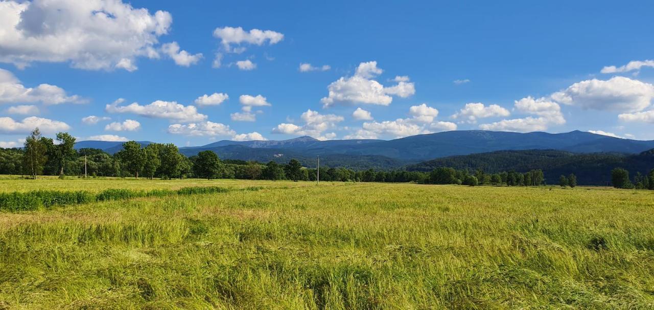 Apartament Wita Stwosza Jelenia Góra Exteriör bild