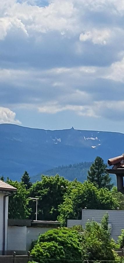 Apartament Wita Stwosza Jelenia Góra Exteriör bild