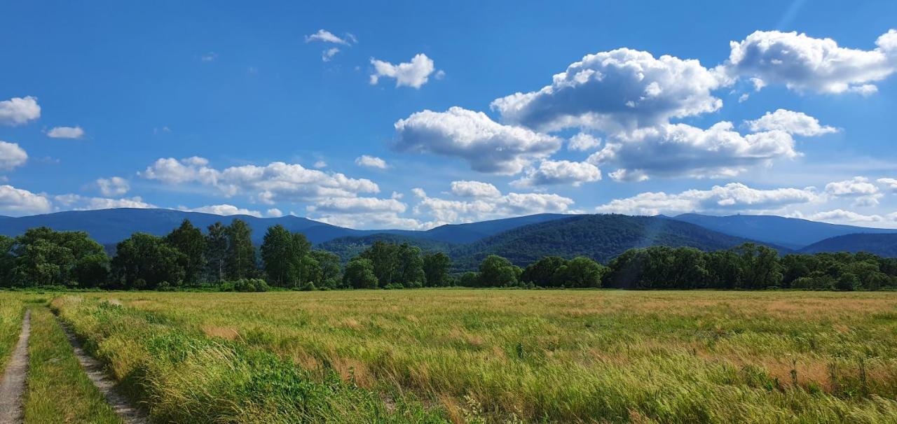 Apartament Wita Stwosza Jelenia Góra Exteriör bild
